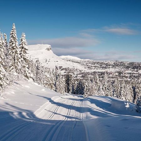 Apartmán Skeikampen Leilighet, Veslesetervegen 973 F Svingvoll Exteriér fotografie