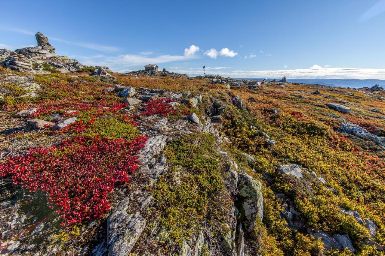 Apartmán Skeikampen Leilighet, Veslesetervegen 973 F Svingvoll Exteriér fotografie