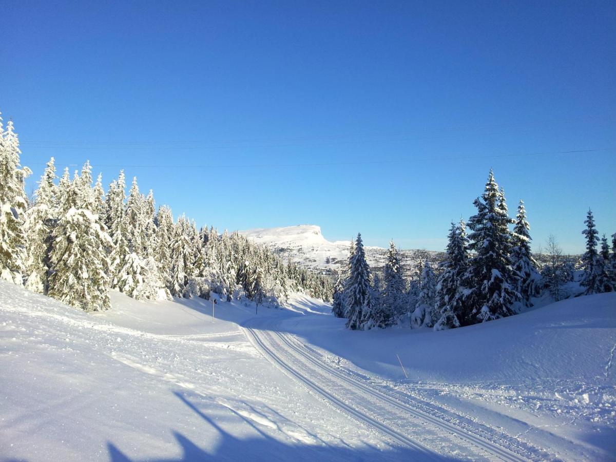 Apartmán Skeikampen Leilighet, Veslesetervegen 973 F Svingvoll Exteriér fotografie