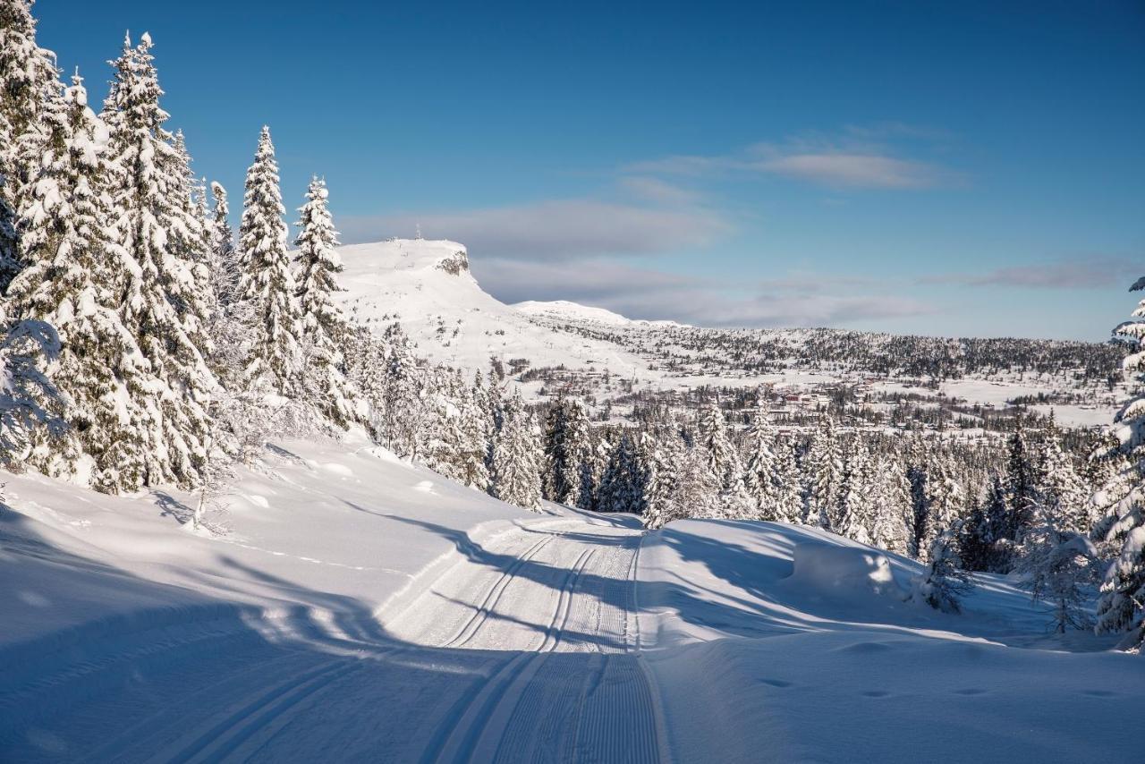 Apartmán Skeikampen Leilighet, Veslesetervegen 973 F Svingvoll Exteriér fotografie